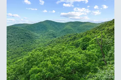 99999 Winding Poplar Road #915, Black Mountain, NC 28711 - Photo 3