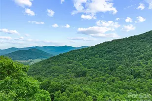 99999 Winding Poplar Rd, Black Mountain, NC 28711 - Photo 1