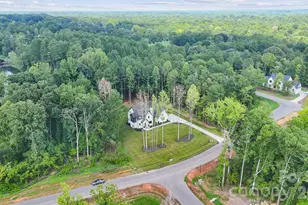 6528 Great Blue Path, Clover, SC 29710 - Photo 43