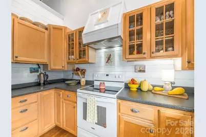 107 Tibi Lane, Waynesville, NC 28785 - Photo 17