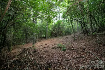 Lot 10 Emma Bri Lane #10, Hendersonville, NC 28739 - Photo 13