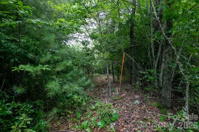 Lot 10 Emma Bri Lane #10, Hendersonville, NC 28739 - Photo 11
