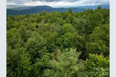Lot 10 Emma Bri Lane #10, Hendersonville, NC 28739 - Photo 5