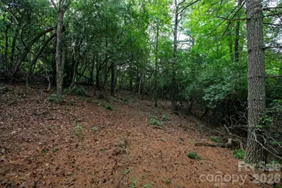 Lot 10 Emma Bri Lane #10, Hendersonville, NC 28739 - Photo 7