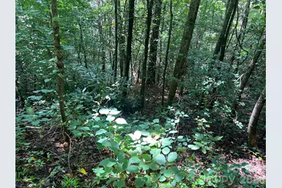0 Old Johns River Road, Collettsville, NC 28611 - Photo 3