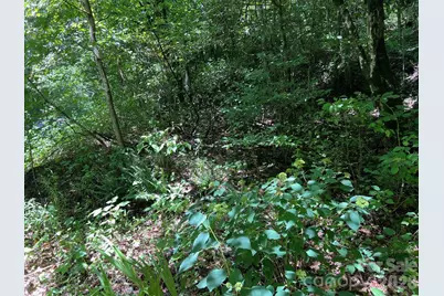 0 Old Johns River Road, Collettsville, NC 28611 - Photo 13