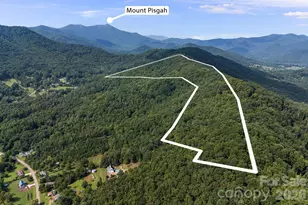 99999 Beaverdam Loop Rd, Candler, NC 28715 - Photo 1