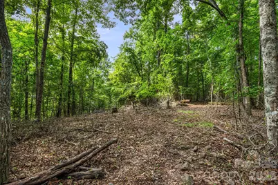 99999 Beaverdam Loop Road, Candler, NC 28715 - Photo 7