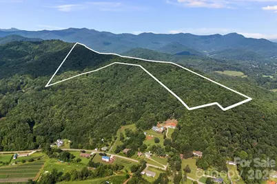 99999 Beaverdam Loop Road, Candler, NC 28715 - Photo 3