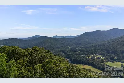 99999 Beaverdam Loop Road, Candler, NC 28715 - Photo 31