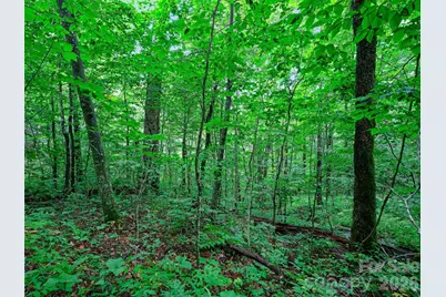 0 Ogle Meadows Road #81, Burnsville, NC 28714 - Photo 21