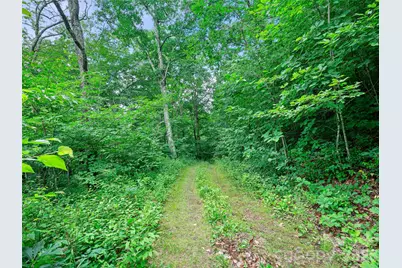 0 Ogle Meadows Road #81, Burnsville, NC 28714 - Photo 17
