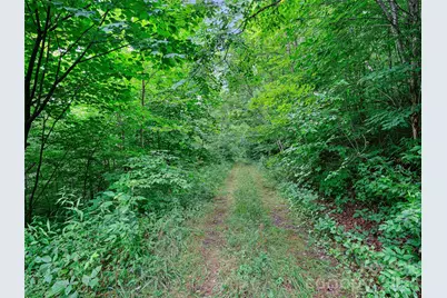 0 Ogle Meadows Road #81, Burnsville, NC 28714 - Photo 15