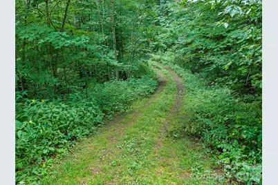 0 Ogle Meadows Road #81, Burnsville, NC 28714 - Photo 31