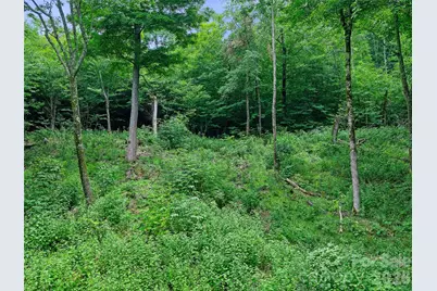 0 Ogle Meadows Road #81, Burnsville, NC 28714 - Photo 27