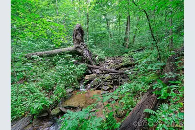 0 Ogle Meadows Road #81, Burnsville, NC 28714 - Photo 5
