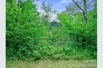 0 Ogle Meadows Road #81, Burnsville, NC 28714 - Photo 19