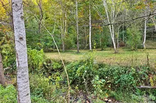 3786 US 70 Hwy E, Marion, NC 28752 - Photo 7