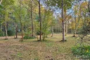 3786 US 70 Hwy E, Marion, NC 28752 - Photo 11