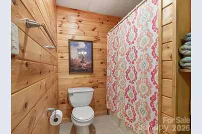 386 Madison Heights Drive, Marshall, NC 28753 - Photo 35