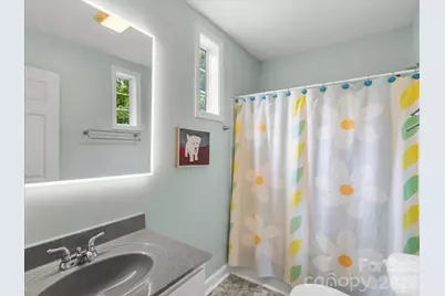 386 Madison Heights Drive, Marshall, NC 28753 - Photo 27
