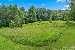 117 Woods View Trail, Fairview, NC 28730 - Photo 39