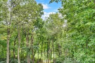 368 Green Hill Woods, Blowing Rock, NC 28605 - Photo 19