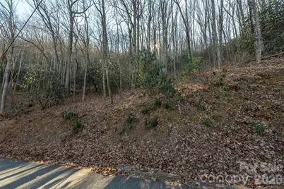 00 Wildflower Cove Road #18, Swannanoa, NC 28778 - Photo 21