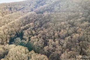 00 Wildflower Cove Rd, Swannanoa, NC 28778 - Photo 1