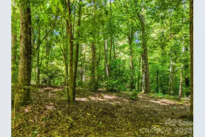 70 Promised Ridge Drive, Hendersonville, NC 28791 - Photo 41