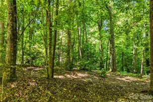 70 Promised Ridge Dr, Hendersonville, NC 28791 - Photo 41