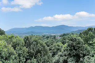 936 Little Mountain Rd, Waynesville, NC 28786 - Photo 5