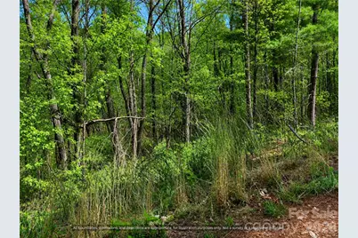 99999 Big Rock Lane #8-10, Lowgap, NC 27024 - Photo 13