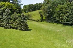 2150 Nc 80 Hwy, Bakersville, NC 28705 - Photo 43