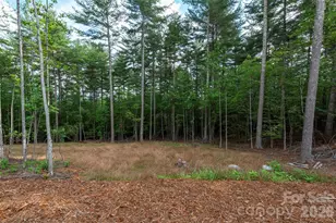 1156 Campbells Trce, Nebo, NC 28761 - Photo 33