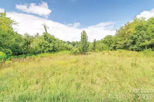 99999 Odonald Rd, Asheville, NC 28806 - Photo 1
