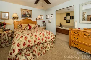 69 Dogwood Branch Rd, Zirconia, NC 28790 - Photo 27