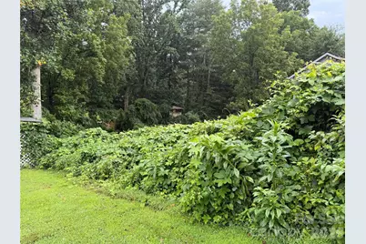 00000 Duckworth Avenue #1, Brevard, NC 28712 - Photo 3