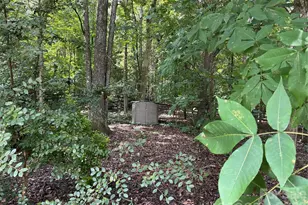 9309 Shrewsbury Dr, Waxhaw, NC 28173 - Photo 41