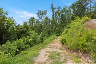 213 Three Rivers Dr, Hendersonville, NC 28792 - Photo 9