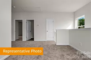 4243 Ruth Crk Ct, Charlotte, NC 28216 - Photo 11