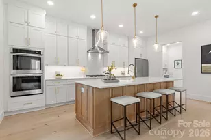 1127 Allen St, Charlotte, NC 28205 - Photo 5
