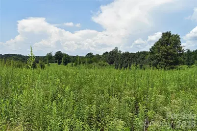 59 Malden Court, Crouse, NC 28033 - Photo 11