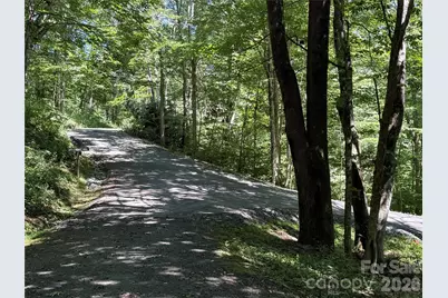7 Wolfsbane Trail #7, Todd, NC 28684 - Photo 3