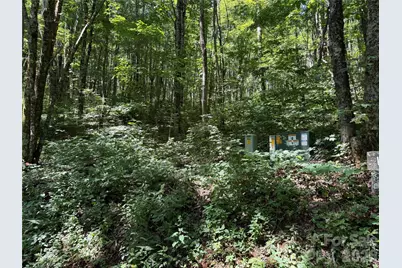 7 Wolfsbane Trail #7, Todd, NC 28684 - Photo 23