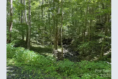 7 Wolfsbane Trail #7, Todd, NC 28684 - Photo 11