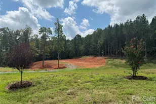 10300 Fink Rd, Mount Pleasant, NC 28124 - Photo 1
