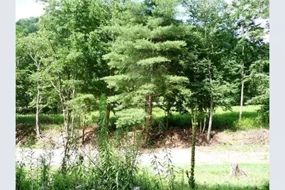 870 Bairds Creek Road, Vilas, NC 28692 - Photo 7