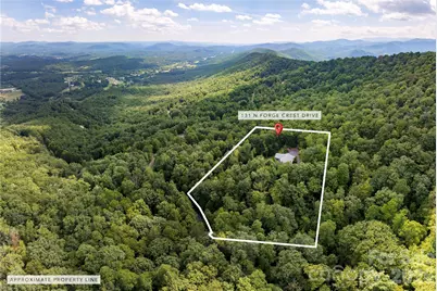 131 N Forge Crest Drive, Mills River, NC 28759 - Photo 39