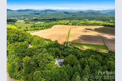 252 Middlemount Road, Pisgah Forest, NC 28768 - Photo 5